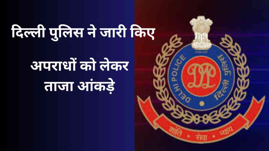 DELHI CRIME RECORD DATA 2024